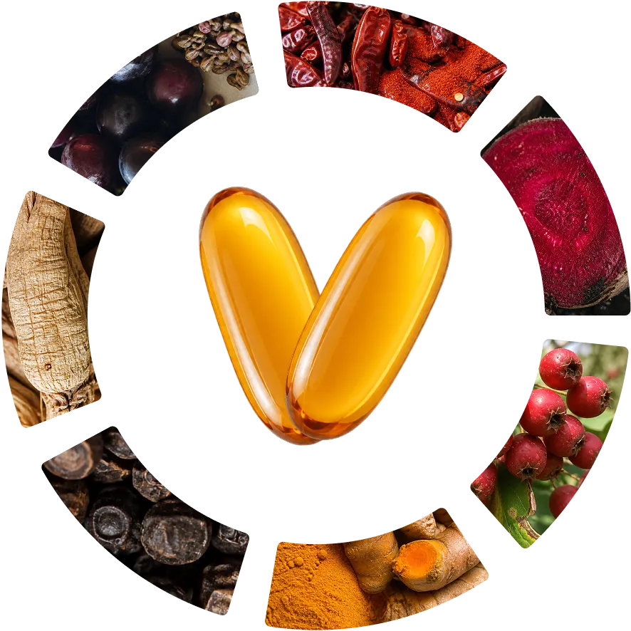 7 PLANTES. 2 CAPSULES PAR JOUR.